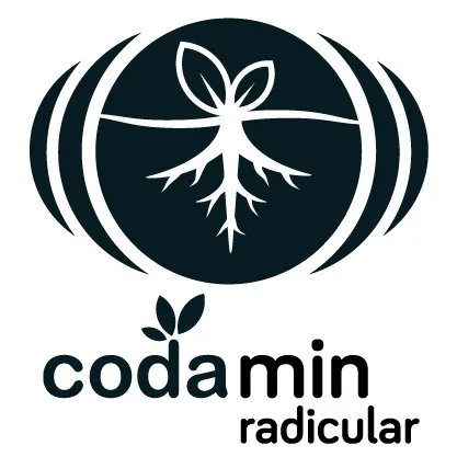 Coda min radicular