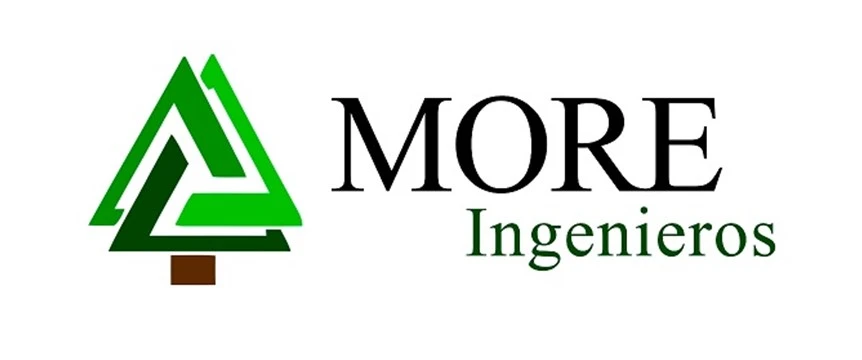 More Ingenieros