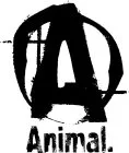 A ANIMAL