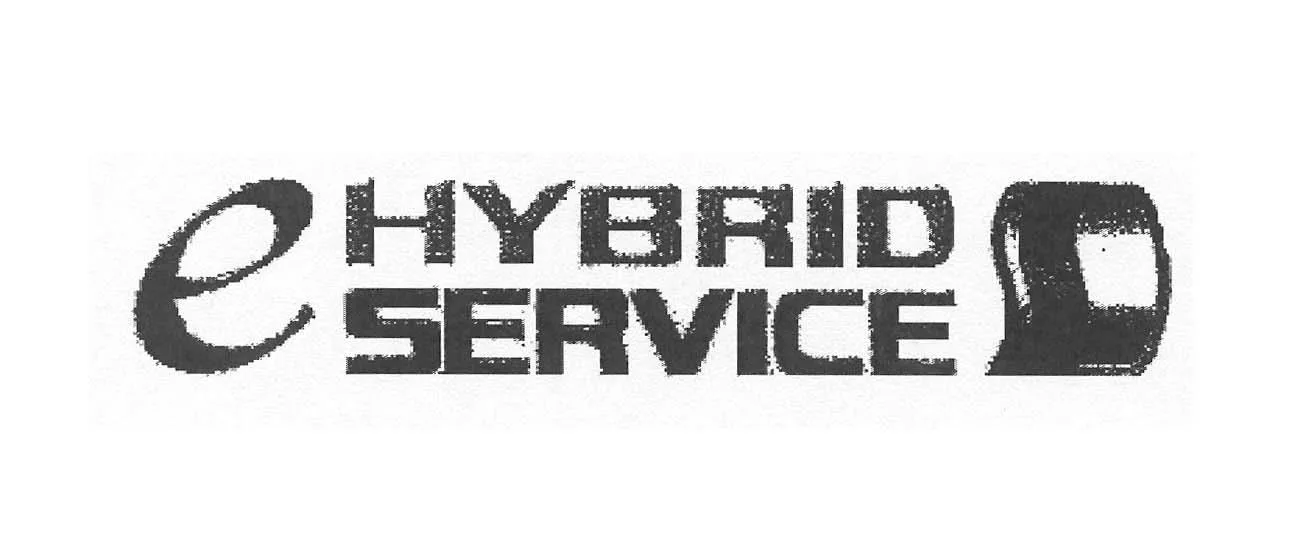 HYBRID E SERVICE