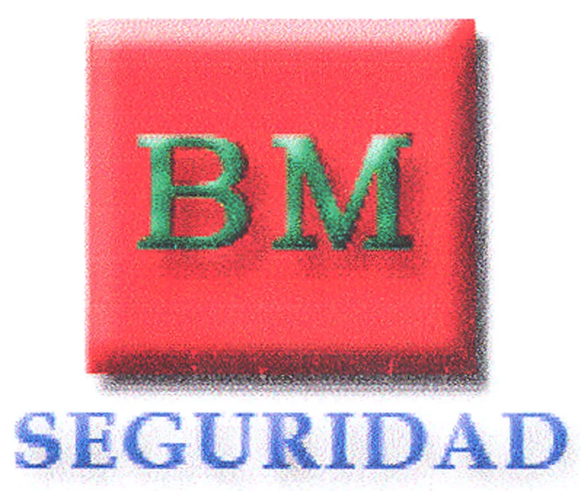 BM SEGURIDAD