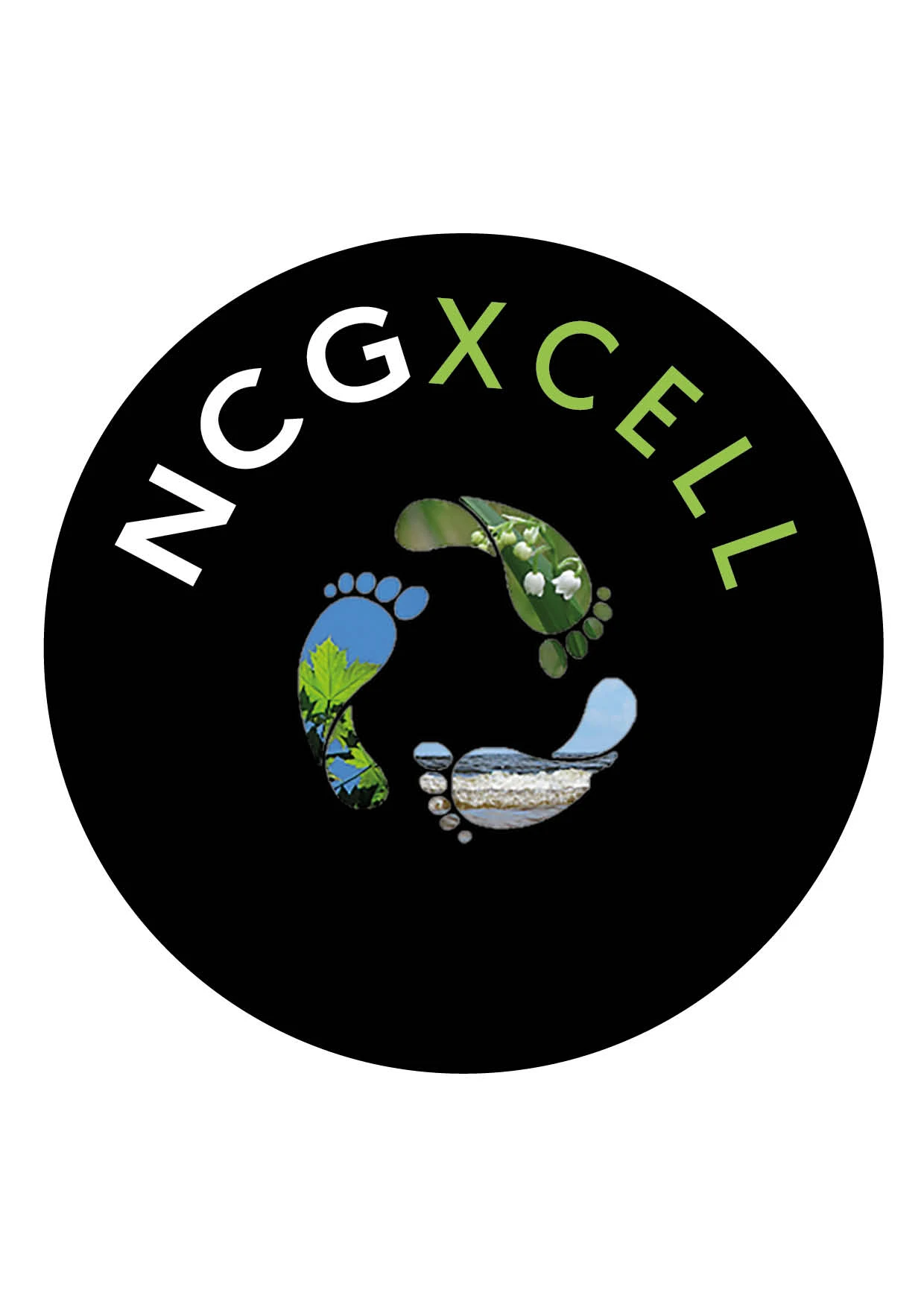 NCGXCELL
