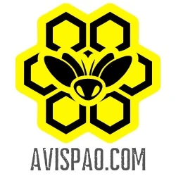 AVISPAO.COM