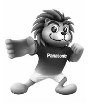 PANASONIC