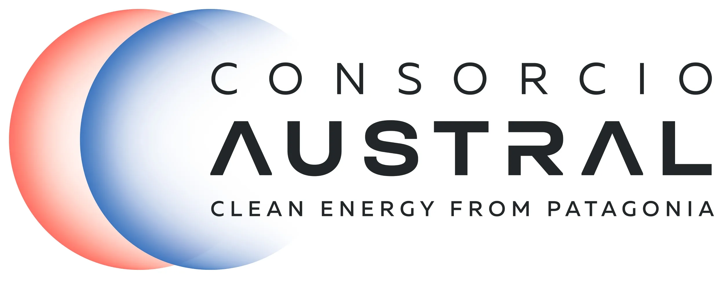 CONSORCIO AUSTRAL CLEAN ENERGY FROM PATAGONIA