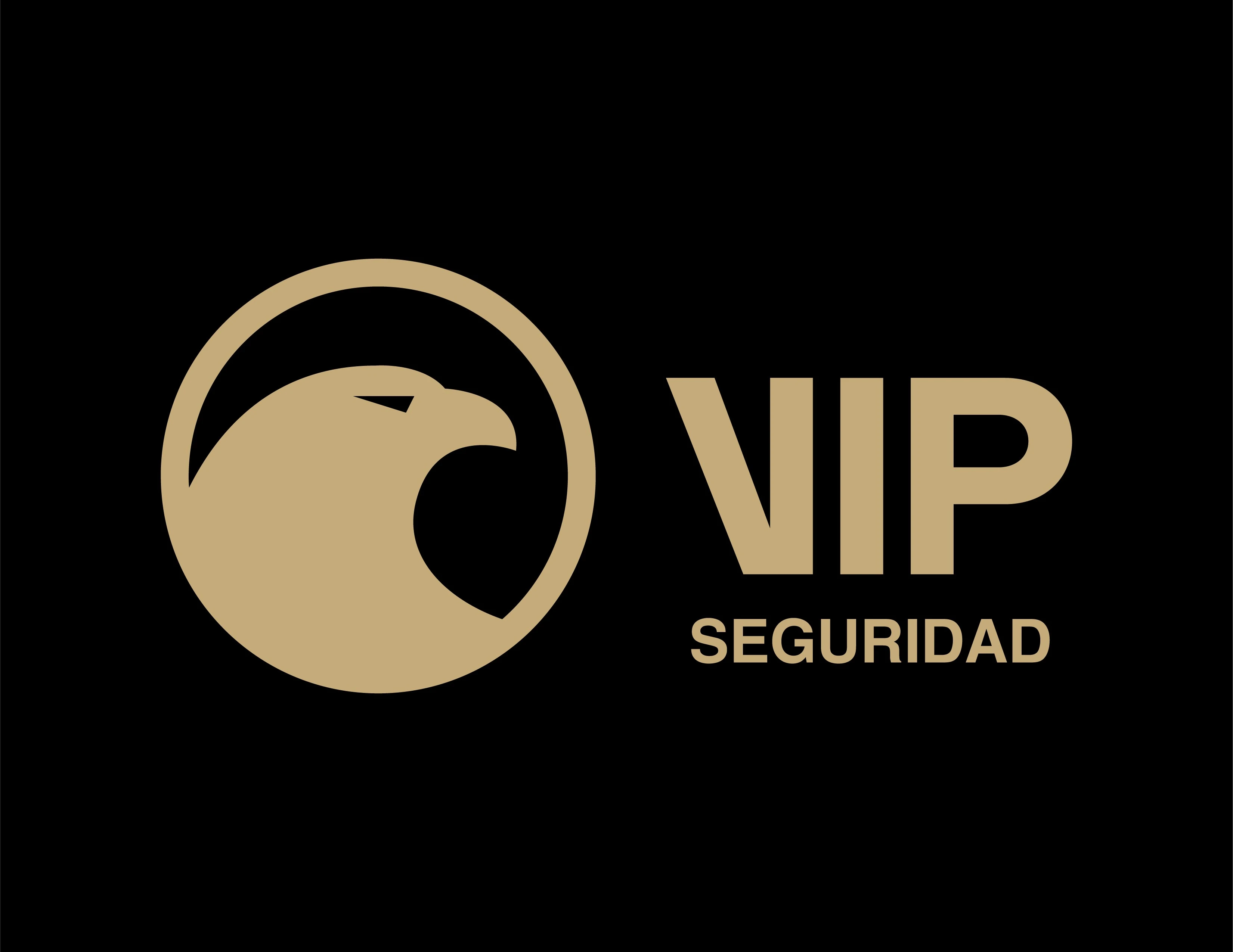 VIP SEGURIDAD