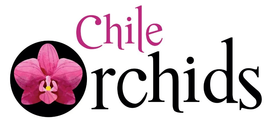 CHILE ORCHIDS