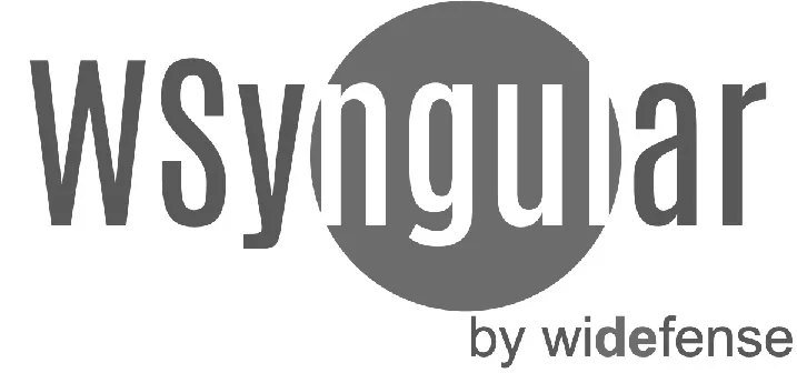 WSYNGULAR BY WIDEFENSE