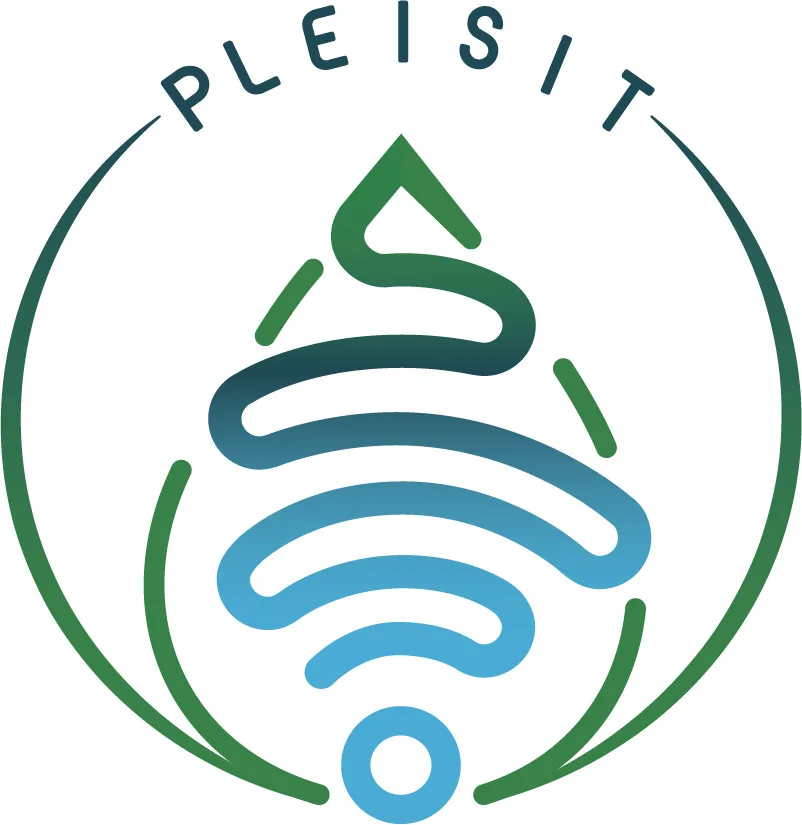 Pleisit
