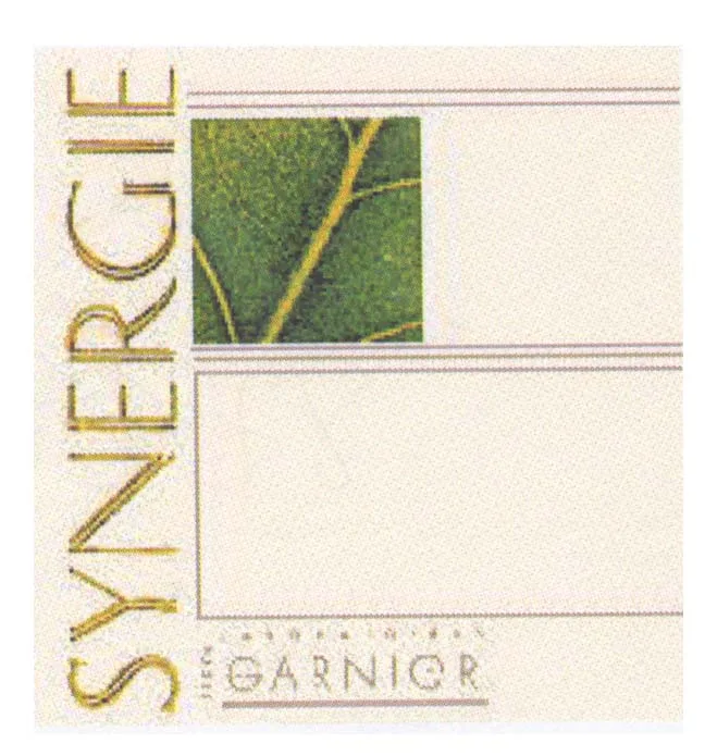 SYNERGIE