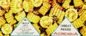ACONCAGUA