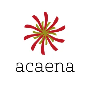 ACAENA