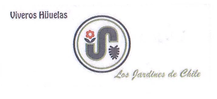 VIVEROS HIJUELAS
