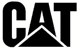 C A T