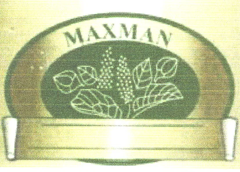 MAXMAN