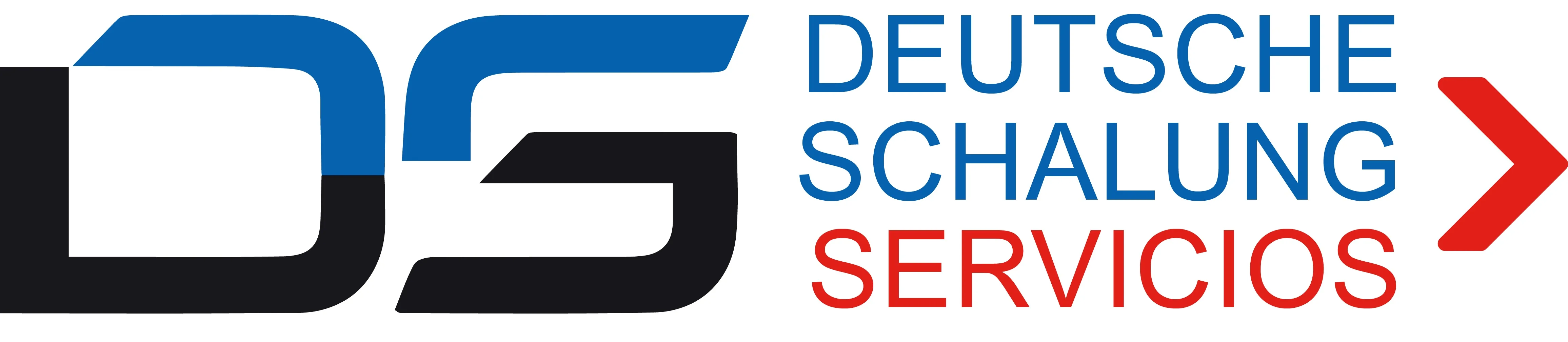 DS DEUTSCHE SCHALUNG SERVICIOS