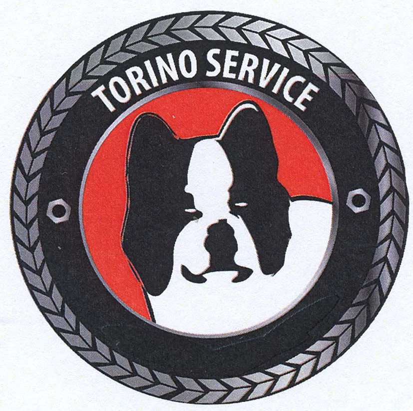 TORINO SERVICE