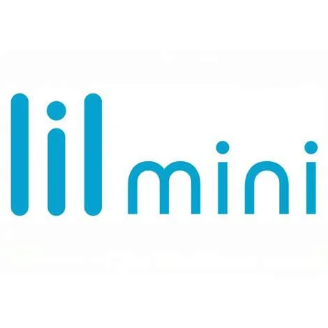 lil mini