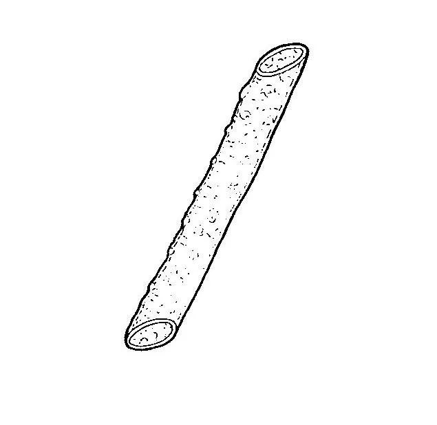 Acta 1216406