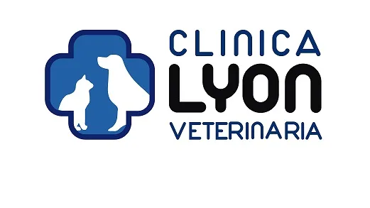 CLINICA LYON VETERINARIA