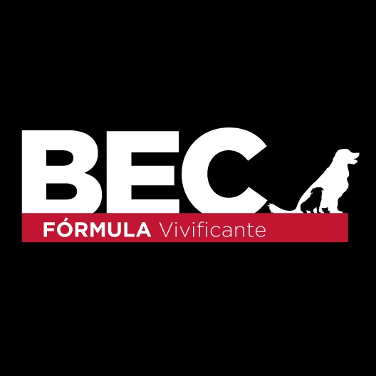 BEC FÓRMULA VIVIFICANTE