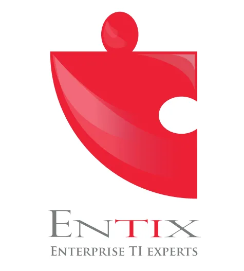 ENTIX ENTERPRISE TI EXPERT
