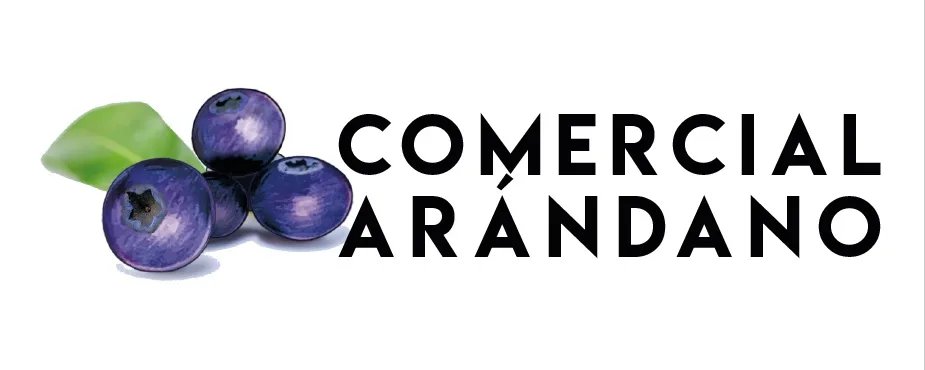 COMERCIAL ARÁNDANO