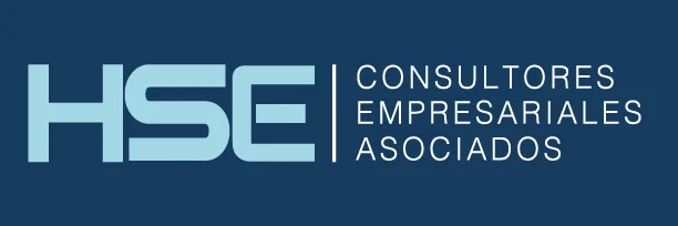HSE CONSULTORES EMPRESARIALES ASOCIADOS