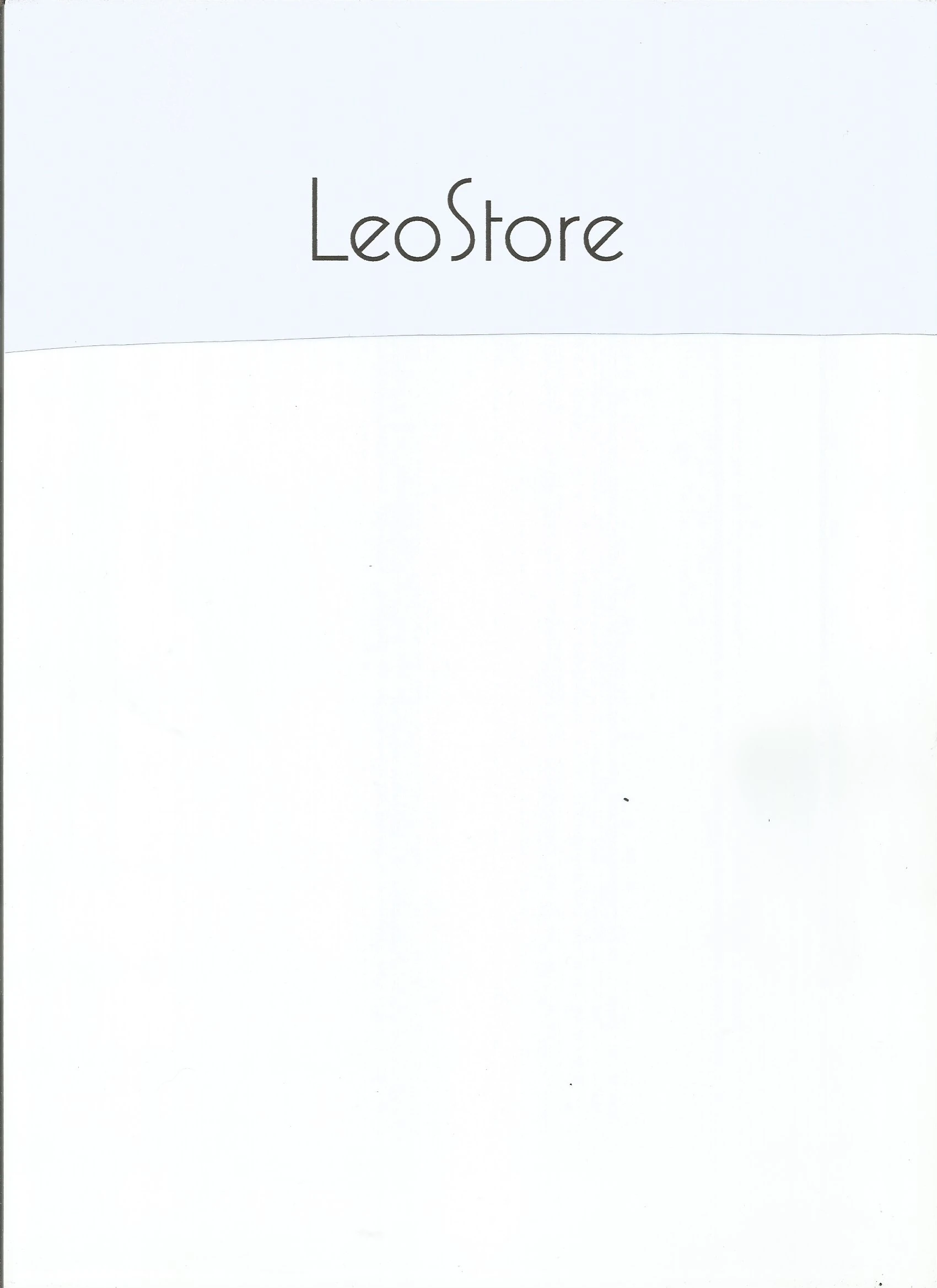 LeoStore