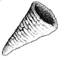 Acta 1245410
