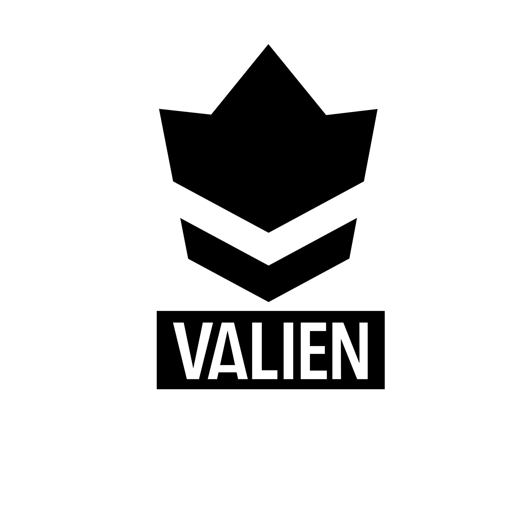VALIEN
