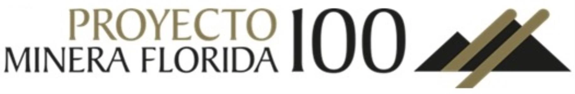 Proyecto Minera Florida 100