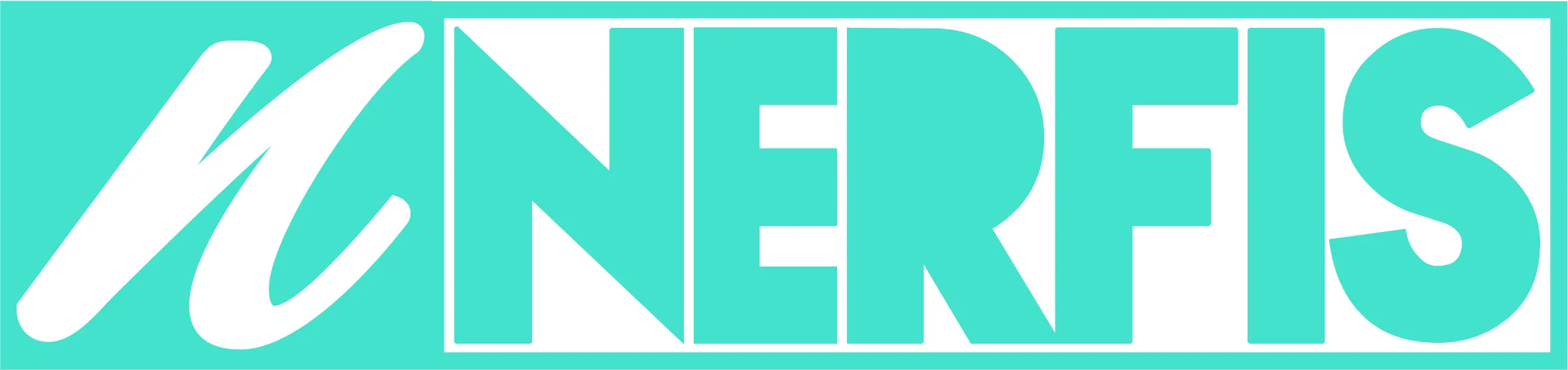 N NERFIS