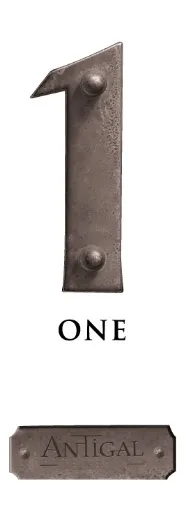 1 ONE ANTIGAL