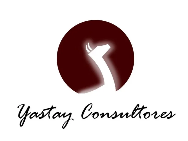 Yastay Consultores