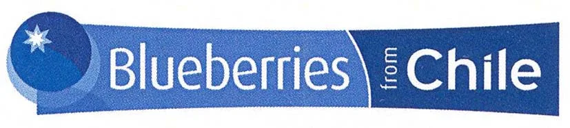 BLUEBERRIES FROM CHILE