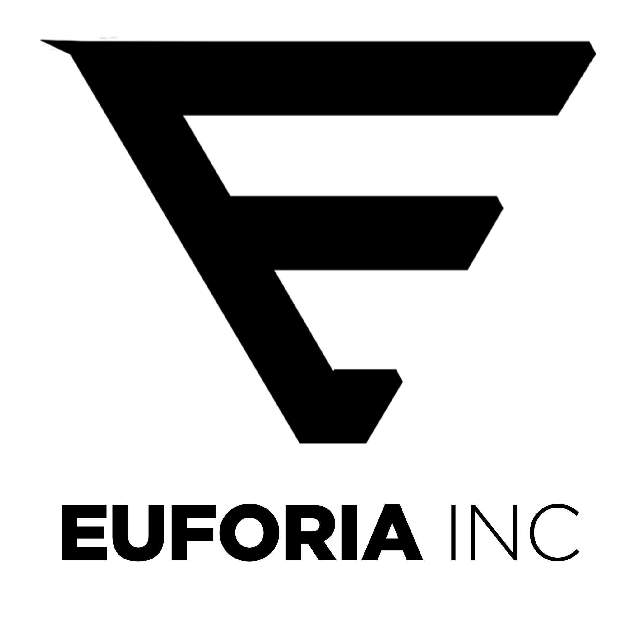 EUFORIA INC