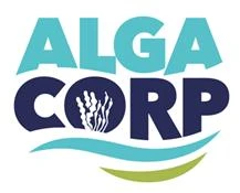 ALGA CORP