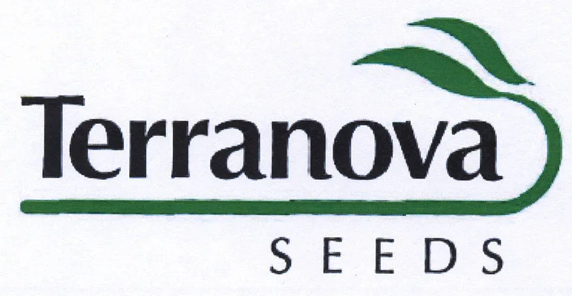 TERRANOVA SEEDS