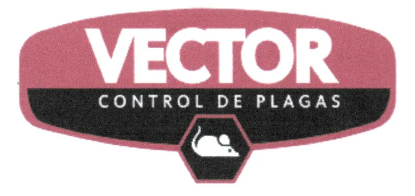 VECTOR