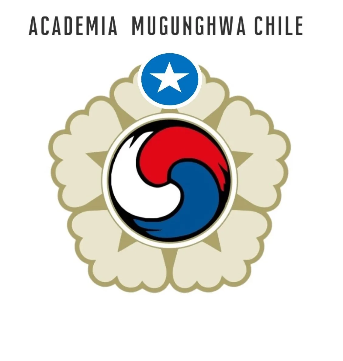 Academia Mugunghwa Chile