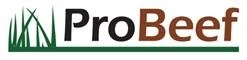 PROBEEF