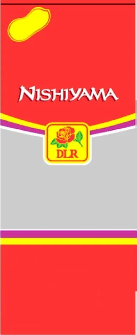 NISHIYAMA DLR