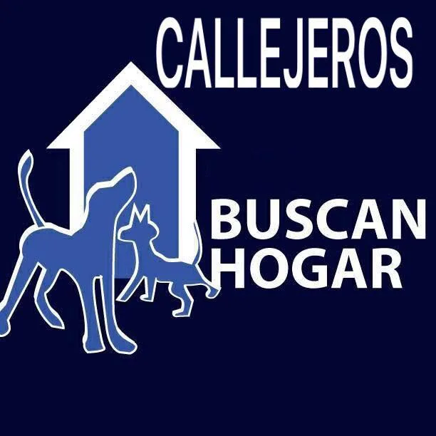 CALLEJEROS Buscan Hogar