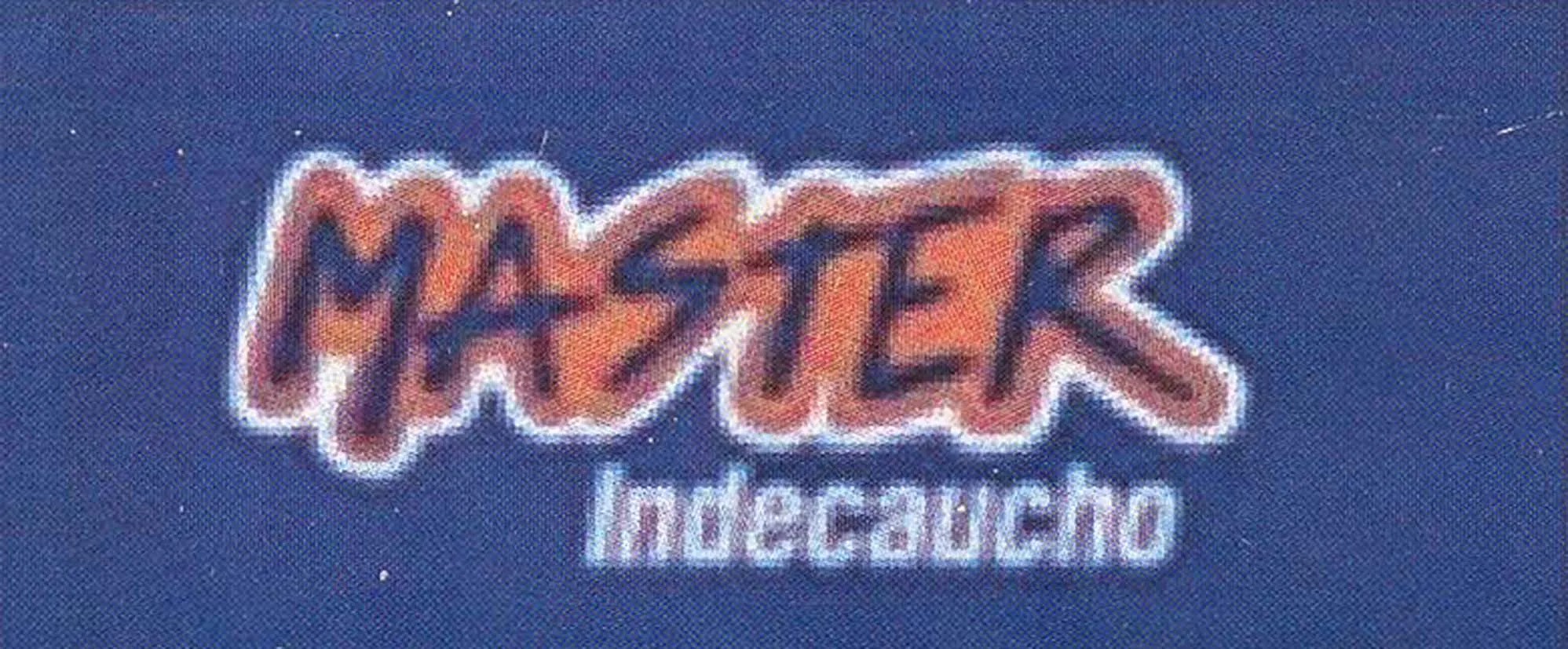 MASTER INDECAUCHO