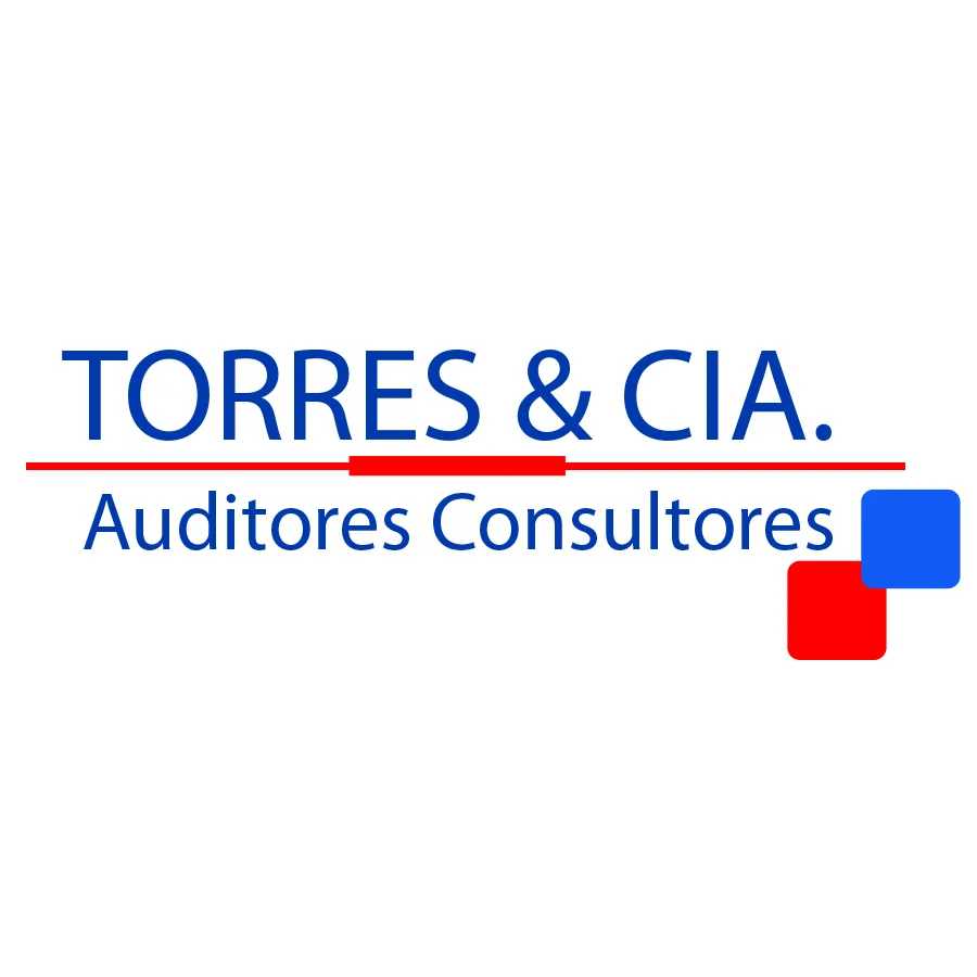 TORRES & CIA. AUDITORES CONSULTORES