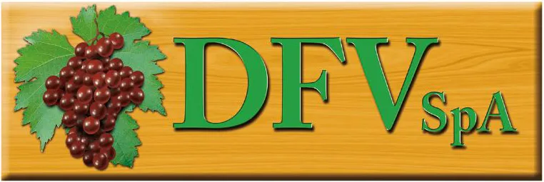DFV SpA