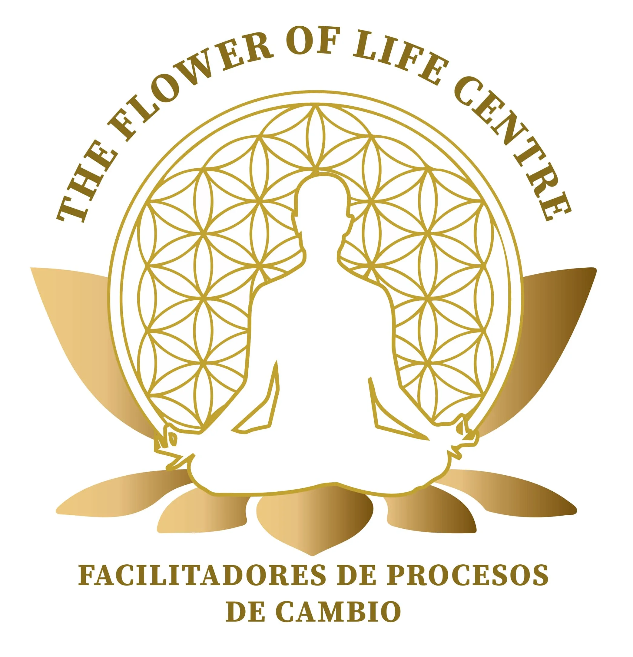 The Flower of life Centre, facilitadores de Procesos de cambio