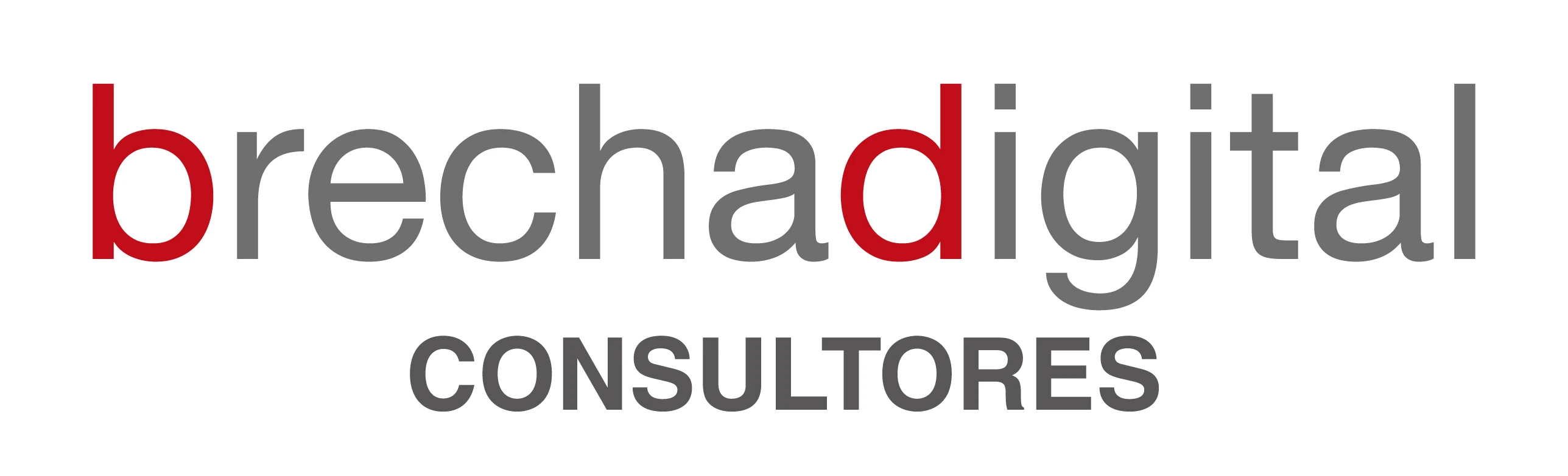 Brecha Digital Consultores