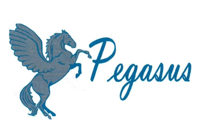 PEGASUS